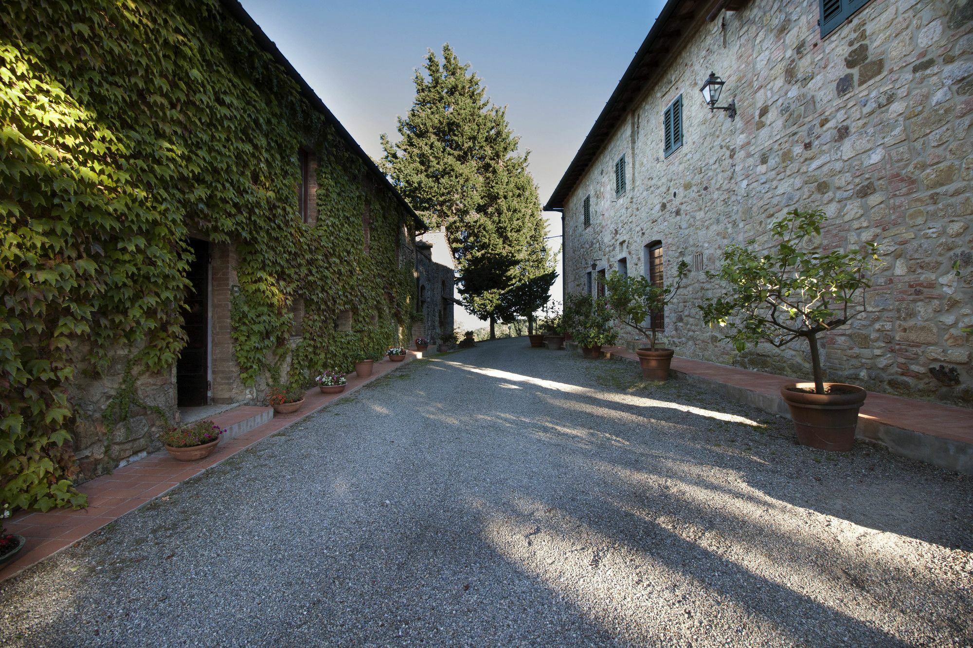 B&B La Torre - Fattoria Di Larniano San Gimignano Extérieur photo